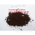 Ganoderma lucidium Spore Powder; Organic Reishi; USA&EU Organic Certificate; GMP/HACCP Certificate